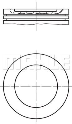 WILMINK GROUP Männät WG1212681